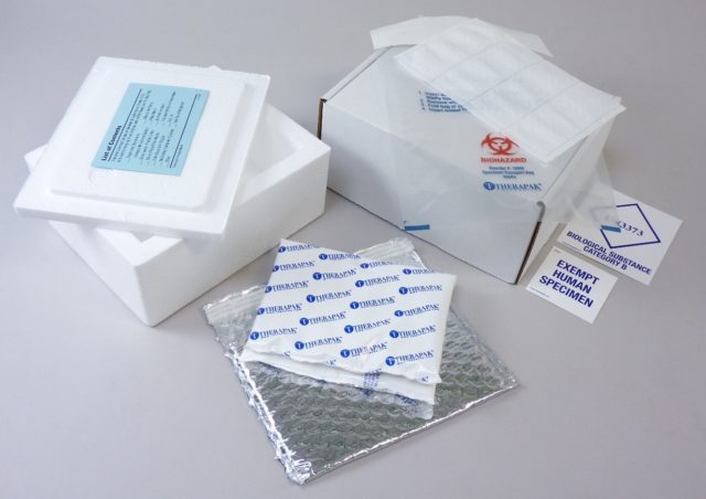 Protected Ambient Category B Shipper with Cooler, Foil Pouch and Small Gel Wrap #380126